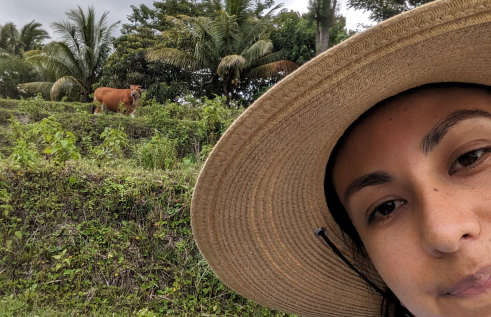 PhD student Maria Paula Ortiz-Rodriguez began her project on silage feeding for Bali cattle earlier this year.