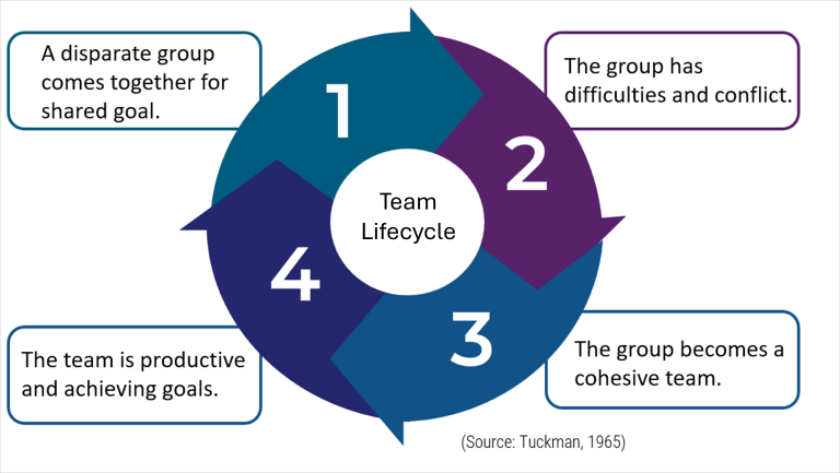 The image shows a the cycle proposed by tuckman