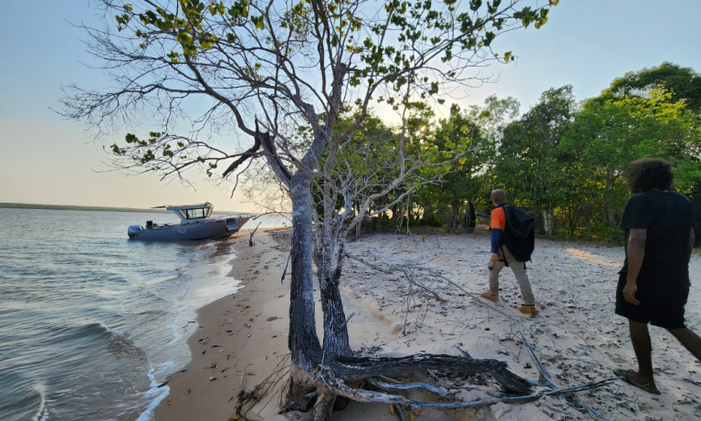 Fieldwork being conducted on the Tiwi Islands