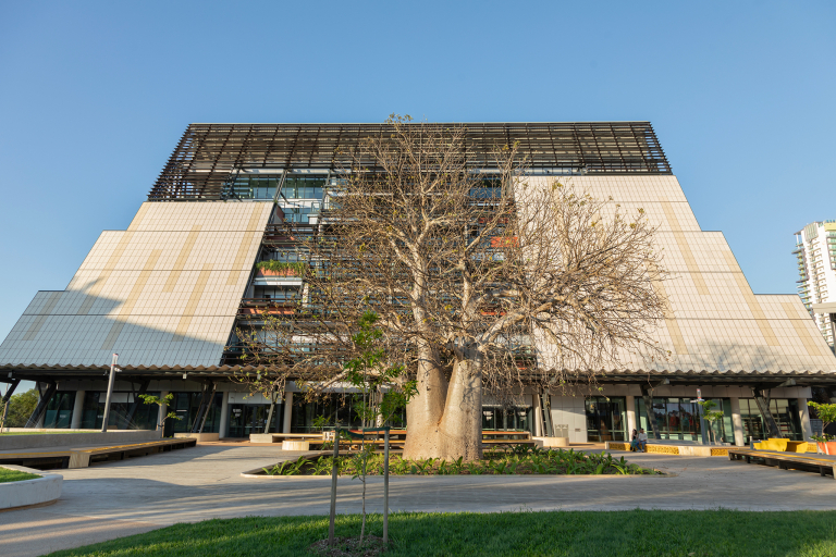 Front view of the Danala Education and Community Precinct Boab