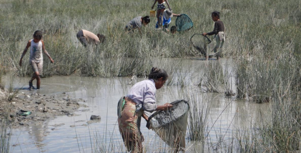 Women and children working in wetland