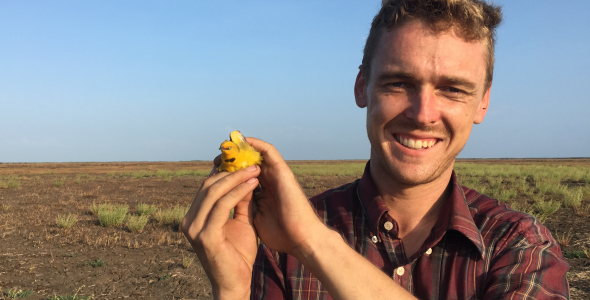 Robin Leppitt holding yellow bird in open grassy landscape