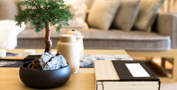 Lounge and coffee table