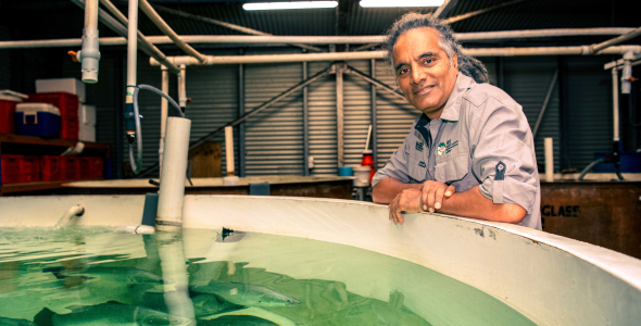 Sunil Kadri, leaning on the edge of a large circular tank almost full of water, with large fishes swimming in it.