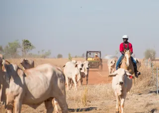 Agriculture and rural operations