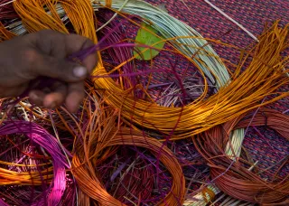 Indigenous basket weaving materials