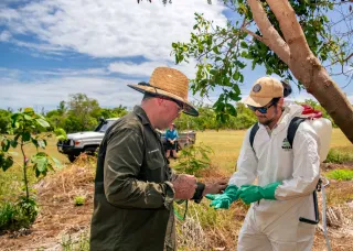 VTP V21 Apply poison baits for vertebrate pest control in rural environment