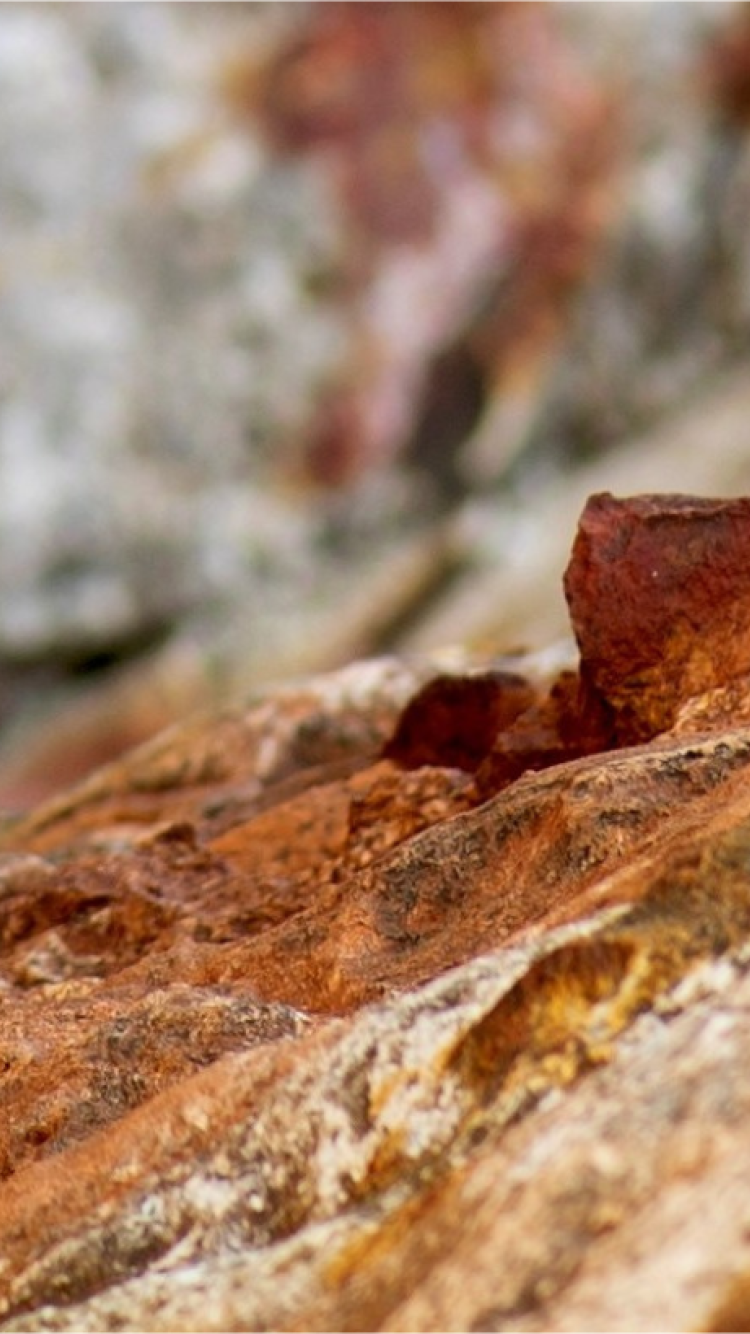 Close up of sandstone rocks in Nightcliff
