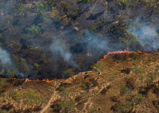 Bushfire seen from helicopter over savanna landscape