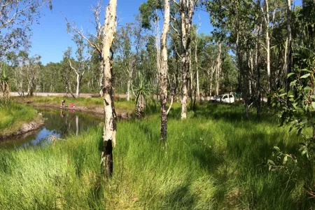 Waterway in open forest with dense green grass understory. Person in distance bending over collecting water samples