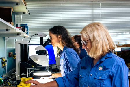 Research Institute for the Environment and Livelihoods scientists at CDU plan to start a citizen science project that is one of the largest groundwater studies in the world. 