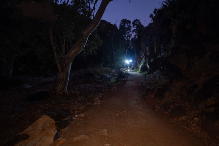 trail at night
