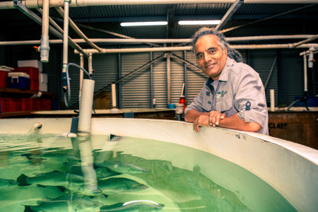 Sunil Kadri, leaning on the edge of a large circular tank almost full of water, with large fishes swimming in it.