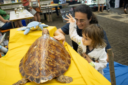 Dr Carla Eisemberg and student examine a turtle