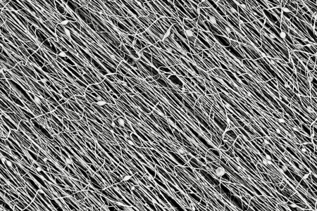 Dr Naveen Elumalai and his team are using a state-of-the-art nanofiber machine to create fibres that can then be used in all sorts of applications including water filtration.