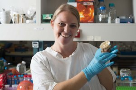 Dr Heidi Luter has looked into the impacts of sewage effluent on a marine sponge species in the NT