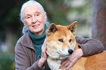 Dame Jane Goodall gives dingo research a pat on the back. Photographer: Phil Hines