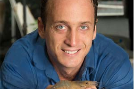 Dr Peter Novak has been the first to follow the life cycle of an iconic freshwater prawn species