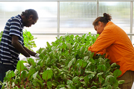 Food Ladder participant Ian Avalon and Katherine Indigenous Woman’s Association chairperson Taryn Kruger at the Yilk-Amak community farm in Katherine