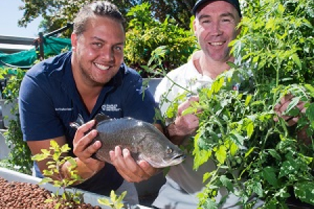 Visitors can learn about aquaponics at CDU Open Day. Pictured: Horticulture and Aquaculture acting team leader Chadd Mumme and lecturer Daniel Costa
