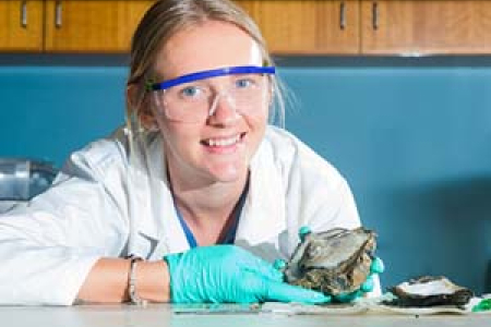 Shannon Burchert is investigating the quality of shellfish produced in a tropical rock oyster farming trial near Goulburn Island