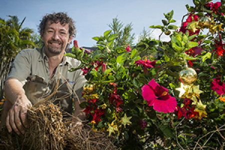 CDU horticulturalist Scott McDonald says Christmas is the perfect time to garden
