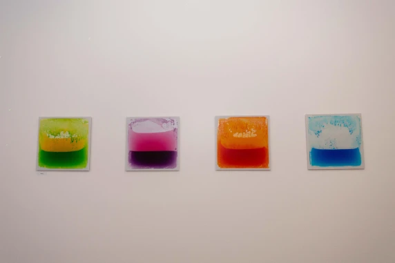 a wall with 4 images