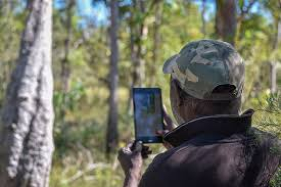 Aboriginal researcher uses mobile-assisted technology in remote forest 