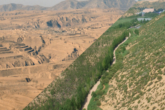 Before and after images of the Loess plateau - one side dry dusty and one side lunch green revegetated hills 