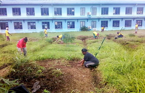 The development of school gardens is helping Papua New Guinea communities produce their own food