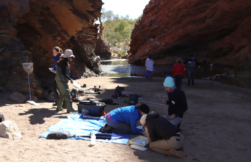 Desert Ecology students investigate arid zone flora and fauna 