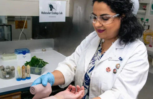 Dr Saki in the laboratory