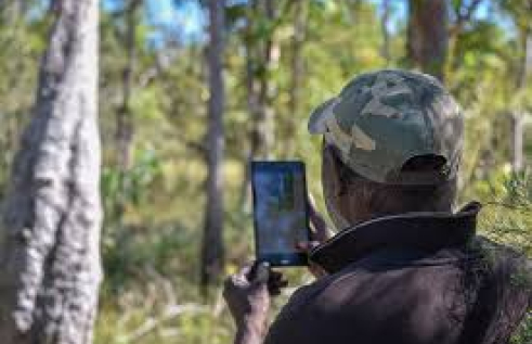 Aboriginal researcher uses mobile-assisted technology in remote forest 