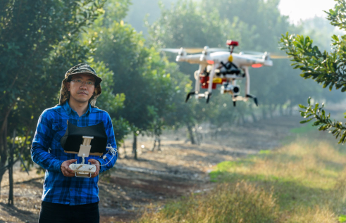 person standing in orchard, holding drone controller, with drone flying in foreground