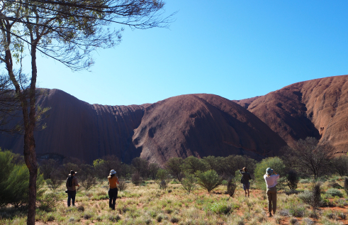 Surveying birds and mammals