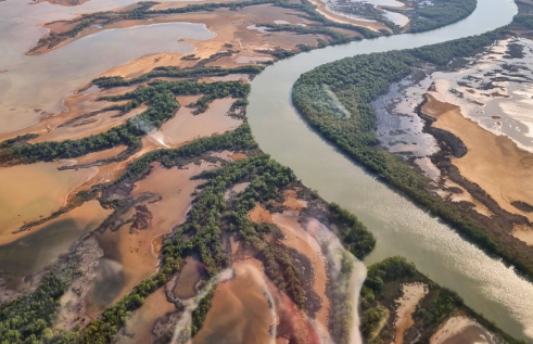 Aerial View of Marra Sea Country - River System with Green Mangroves