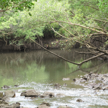 Image of Rapid Creek