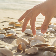 Someone picking shells on the beach