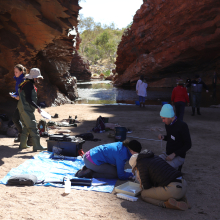 Desert Ecology students investigate arid zone flora and fauna 