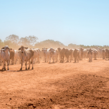 agricultural-research-funding-boost