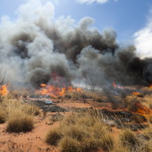 CDU researchers and land managers are using satellite images to track fires burning in Central Australia