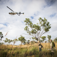 Charles Darwin University (CDU) wants to find top higher degree students looking for an adventure in key Northern Australia research projects. 