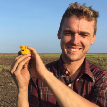 Dr Robin Leppitt head and shoulders, holding a small yellow bird with both hands, green flat plain in background