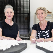 The ‘Flow States’ artwork co-created by CDU Visual Arts Lecturers Melanie Robson and Dr Kate Murphy (aka Ellis Hutch) was one of ten installations showcased in a premier outdoor art exhibition in Brisbane last week.