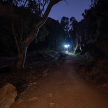 trail at night