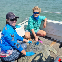 two people in a boat, squatting next to a large turtle which has small blue box with a short black antenna glued to its shell, near its neck