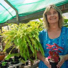 Women in greenhouse