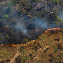 Bushfire seen from helicopter over savanna landscape