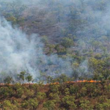 Strategic burning regimes to reduce greenhouse gas emissions are now widespread across Northern Australia