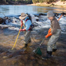 The team has secured funding to forecast the resilience of freshwater fish species in Northern Australia